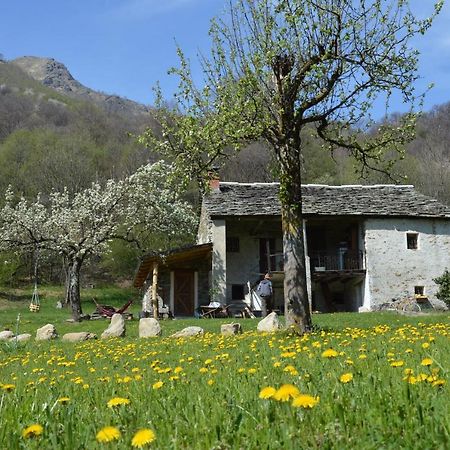 Countryrooms Valchiusella Vico Canavese Exterior foto