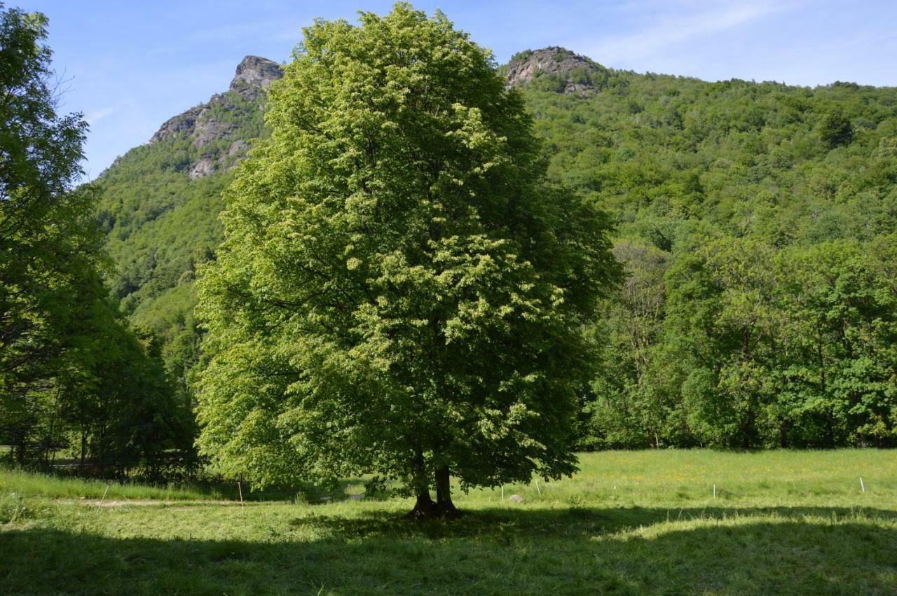 Countryrooms Valchiusella Vico Canavese Exterior foto