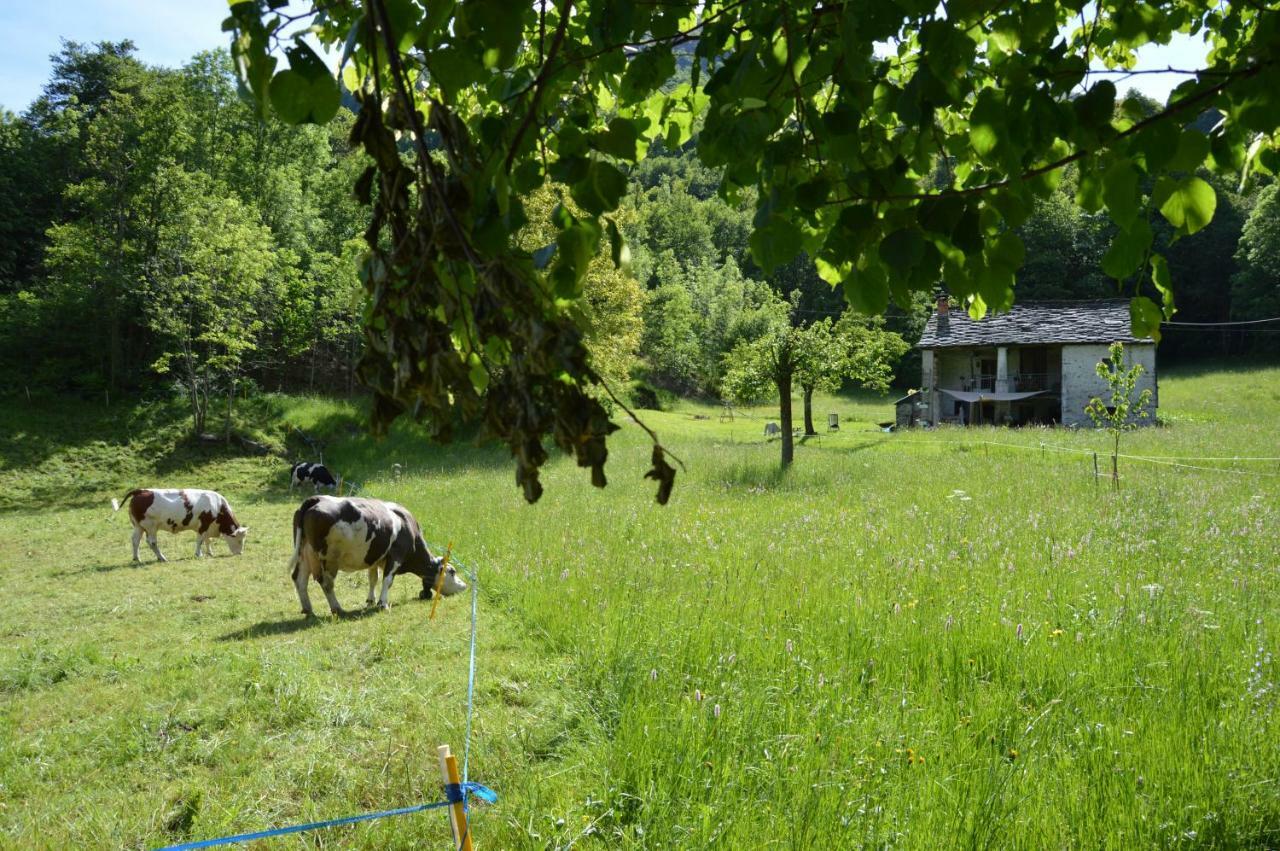 Countryrooms Valchiusella Vico Canavese Exterior foto