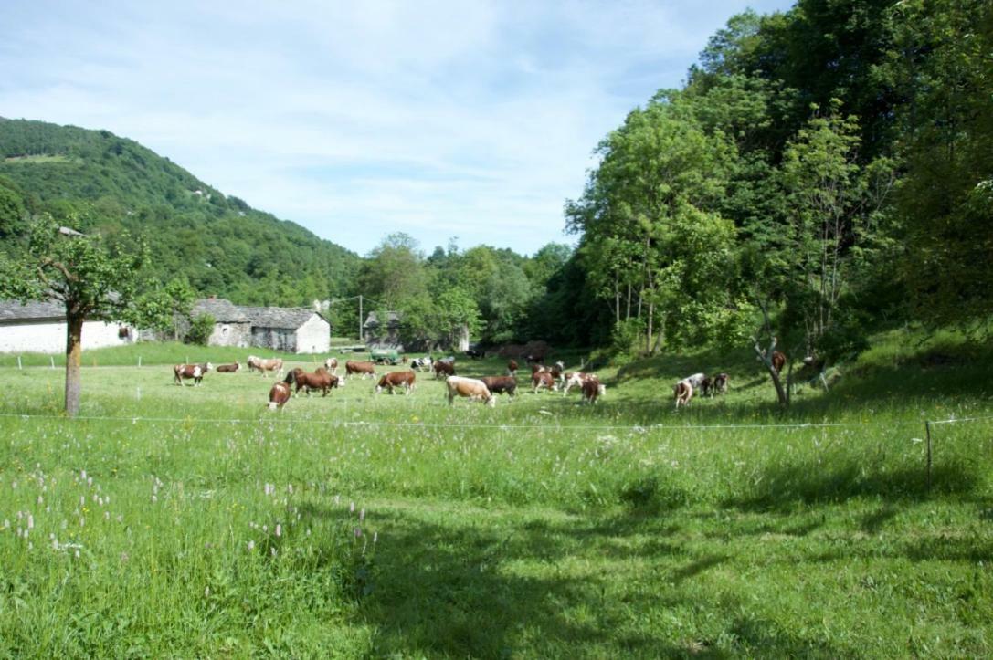 Countryrooms Valchiusella Vico Canavese Exterior foto