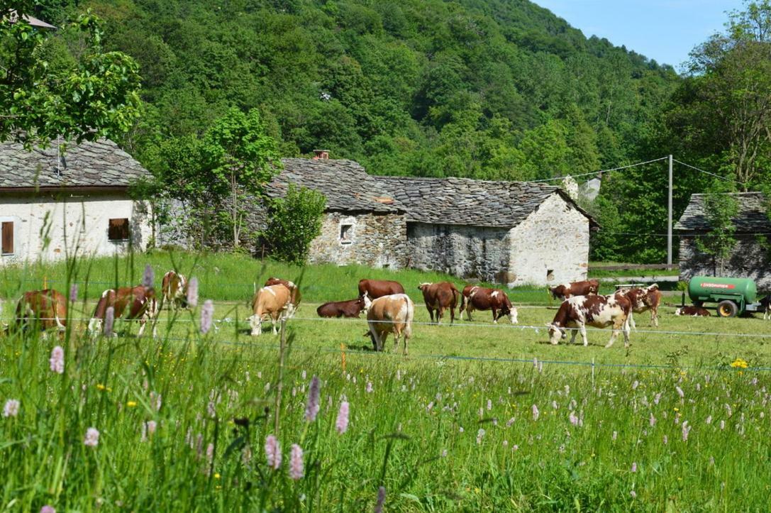 Countryrooms Valchiusella Vico Canavese Exterior foto